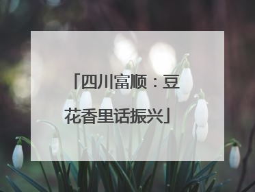 四川富顺：豆花香里话振兴